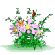 flowers_md_wht.gif (15106 ֽ)